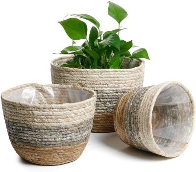 China Modern the three-color woven belly basket of the vegetable plankton quality of the vegetable plankton fine rattan basket for sale