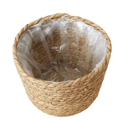 China Factory Wholesale Modern Widely Used Vegetable Plankton Basket Top Quality Vegetable Plankton Basket for sale