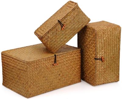 China Viable wholesale hot sale Christmas large capacity valentines fit natural plant plankton gift box rattan storage basket with lid for sale