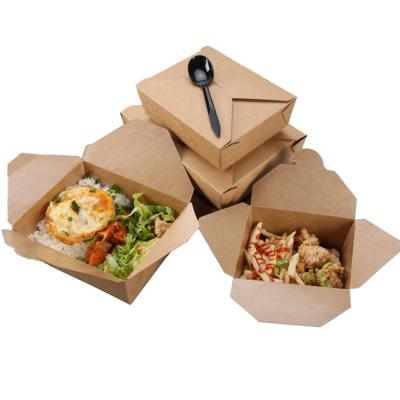 China Factory Biodegradable Customization Storage Takeaway Food Packaging Bento Potluck Lunch Box for sale