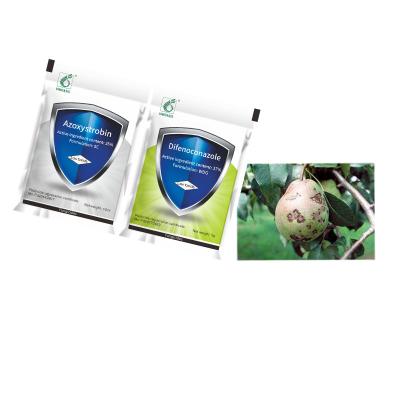 China Agrochemical Bactericide 25% Azoxystrobin SC 37% Difenoconazole WDG Treat Grape Blight for sale