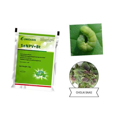 Cina Organic Pesticide WP Natural Insecticide Nuclear Polyhedrosis Virus SeNPV Good Effect on Cabbage Worm in vendita