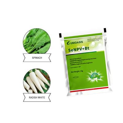 China Effective Pesticide for Cabbage Worms Caterpillars 100% Natural Safe Organic Product zu verkaufen