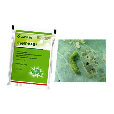 Chine Certification biologique Biopesticide SeNPV Bt Tuer les betteraves Le ver de l'armée Jardin de légumes à vendre