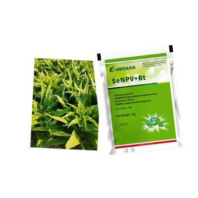 China Vegetable Protection Environmentally Friendly Safe Insecticide for Safeguarding Crops zu verkaufen