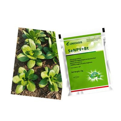 China Cruciferous Green Vegetables Organic Pesticide SeNPV Pests Spodoptera Exigua Beet Armyworm Killing for sale