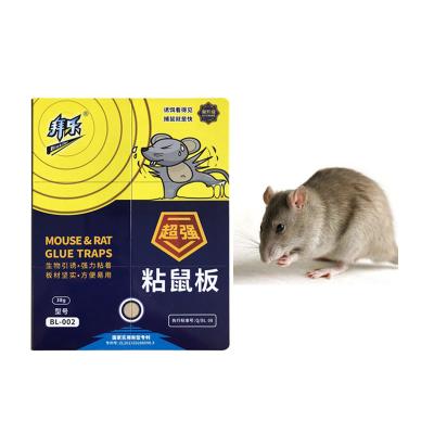 中国 Adhesive Rat Glue Bait Insecticide Building Grade Hard Board Mice Killer 販売のため