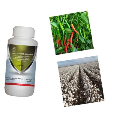 China HaNPV Bt Bio Pesticide China Xinjiang Cotton Pests Killing Chilli Helicoverpa Assulta for sale