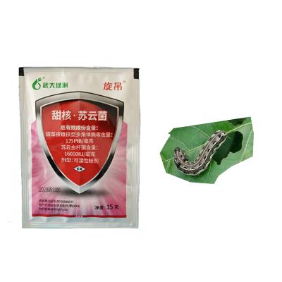 China Organic Insect Killing Fungus - Kills Insects Quickly & Safely for sale