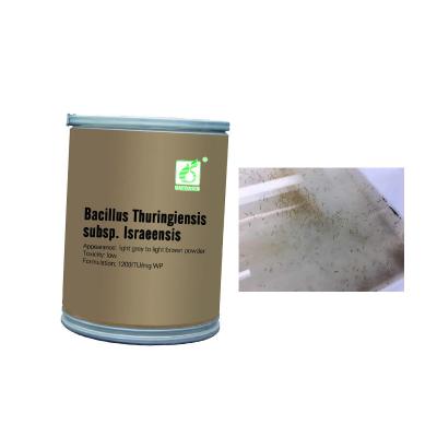 China WL20100260 Mosquito Larvae Killer Anti Mosquitoes Powder Bacillus Thuringiensis subsp zu verkaufen