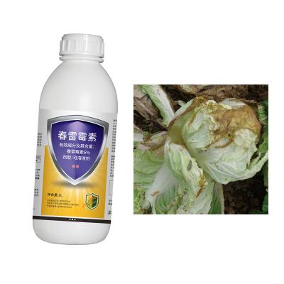 Chine 6% Kasugamycine SC Bactéricide agricole Prévention Cure pourriture douce Chinois Cabbage Patate Jambe noire à vendre