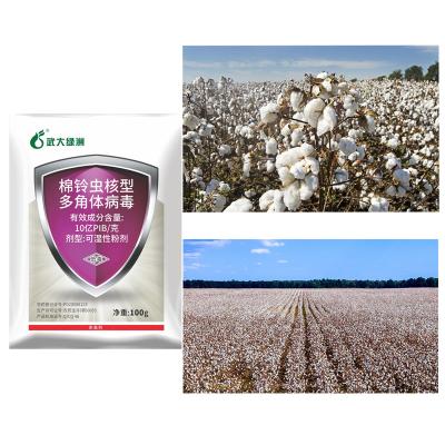 China OEM HaNPV Soybean Pesticides Spray Liquid Onion Maggot High Efficiency Insecticide for sale