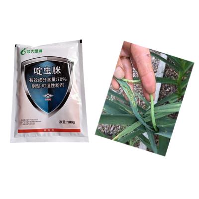 China Agricultural 70% Acetamiprid WP Black Aphids Bio Chemical Pesticide Vegetable Aphids Spray for sale