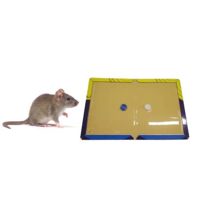 China Non Toxic Harmless Super Sticky Mouse Trap Board Catch Rat Home Kitchen Restaurant en venta