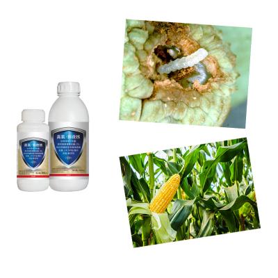 China Bacillus Thuringiensis Chilli Thrips Insecticidas para el extractor de tallo en el arroz Bio y químico Beta Cypermethrin en venta