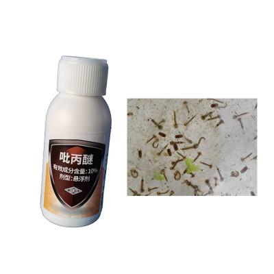 China 200ml 10% Pyriproxyfen SC Mosquito Eggs Killer Larvae Inhibit Embryo Development for sale