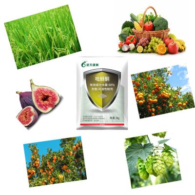 China Agricultural Rice Wheat Pesticides 50% Pymetrozine WP Planthopper Aphid Control for sale