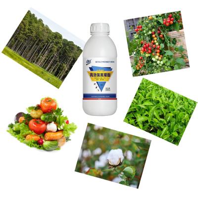 Chine Les légumes agrochimiques de Sc 10% Beta Cypermethrin Insecticide Pesticide For fruitier des arbres à vendre