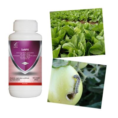 China OEM SeNPV Insecticidas biológicos vegetales verdes para insectos de jardín en venta