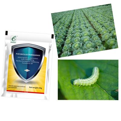 China Agricultura natural Pesticida humedecible en polvo Insecticidas biológicos PrGV Bacillus Thuringiensis Efecto sobre el gusano de la col en venta