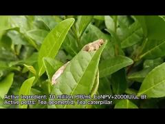 Cotton worm effective agriculture pesticide  EoNPV.Bt