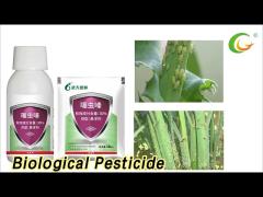 Agricultural Biological Pesticide Aphid Thiamethoxam For Green House