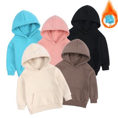 China Breathable High Quality Solid Hooded Custom Logo Printed Single Fleece Thick Pullover Hoodies for sale