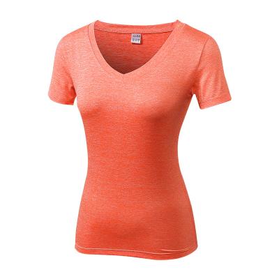 China Viable Wholesale Quick Dry Seamless Sports T-shirt V Neck Woman Running T-Shirt for sale