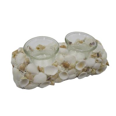 China All Natural Seashell Decorations Seashell Wall Decor Seashell Crafts SHELL CANDLE HOLDER for sale