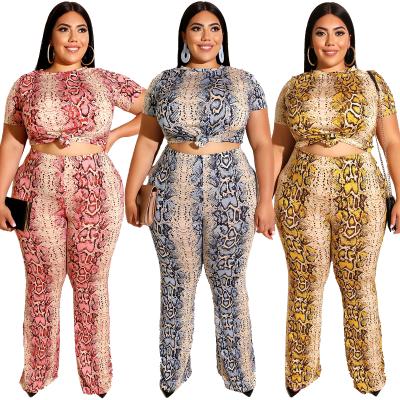 China Sustainable Women Plus Size Clothes Tight T-shirt Straight Pants Plus Size 2 Piece Set Snake-copy FM-19269 Fashion for sale