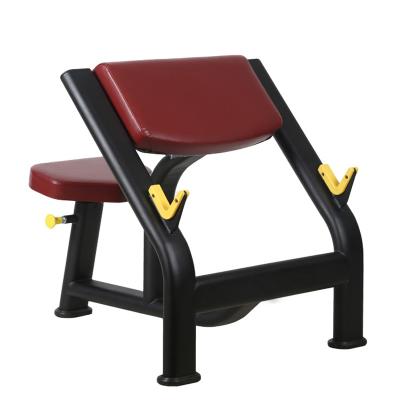 China Commerical Modern Home Use Hammer Gym Equipment Seated Preacher Arm Loop Bench for sale