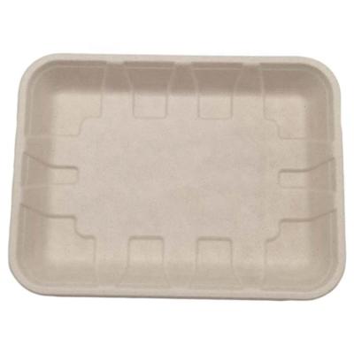 China Biodegradable Most Popular Customizable Bagasse Made Eco Biodegradable Disposable Fruit Sushi Pulp Disposable Tray Plate Fruit Tray for sale