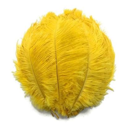 China Best Used For Small To Medium Feather Centerpieces 45-50cm 18/20