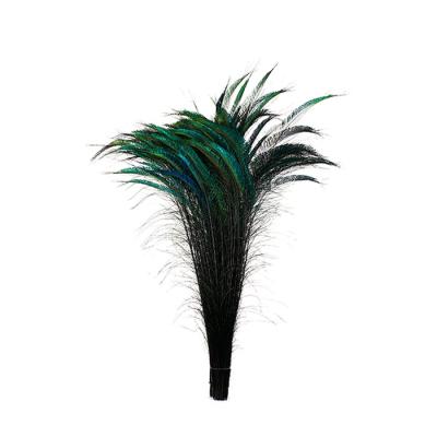 China Bulk China Peacock Sword Feathers Dyed Rod 25-40' for sale