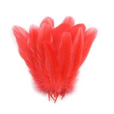 China Classic Goose Sateen Feathered Dyed for sale