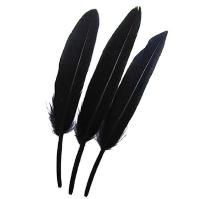 China Duck Lug Dyed Feathers classic 3-4inch for sale