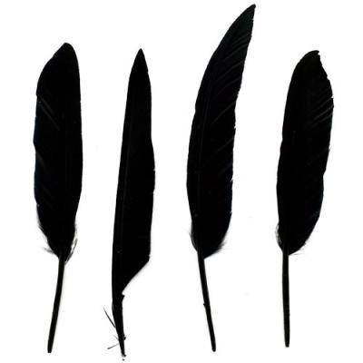 China Classic Duck Pointer Feathers for sale