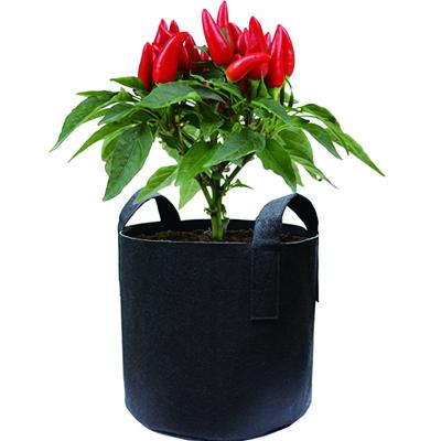 China 2020 Durable China Supplier Planting Bag Black Stable Potato Factory Planting Bag For Poly Grow Bag for sale