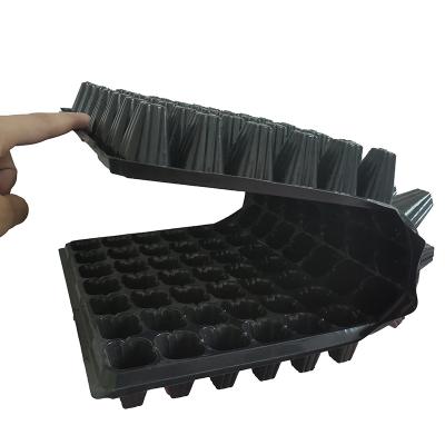 China Eco-friendly Plastic Plant Propagator Tray Kit Seedling Starter Seedling Tray for sale