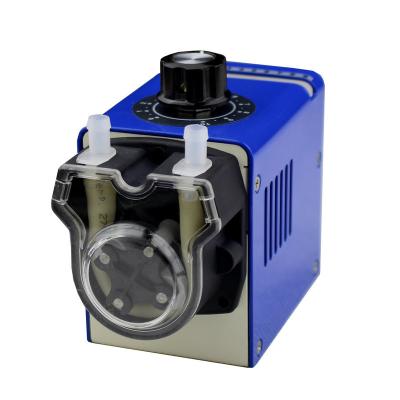 China New Original Automotive Industry Medical Peristaltic Pump OEM Low Flow Electric Water Pumps for sale