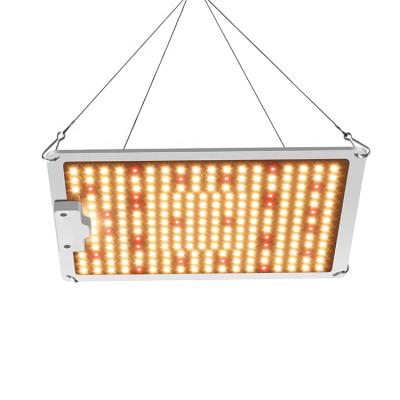 China Cheap Starting Seed Led Quantum UV Lamp 100w Full Spectrum IR UV Green Home 301b 660nm 4000k Led Grow Light for sale