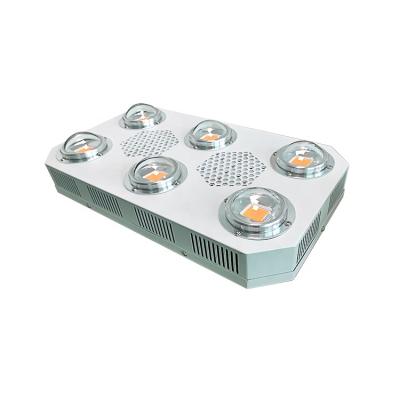 China Seed starting 300W hydroponic cob led grow lights 3000K, lm301h for vertical farming for sale