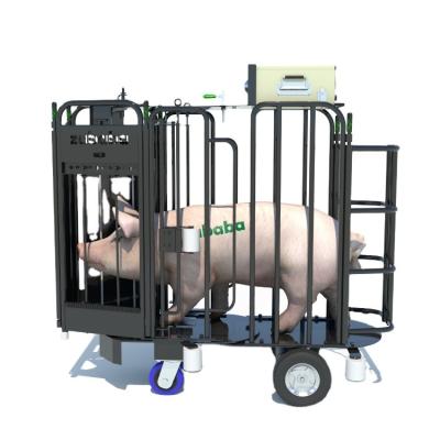 China Farms Remote Controlled Boar Cart Use For Sow Fertility And Heat Detections Made Of Electrophoresis Steel for sale