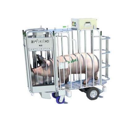 China Cultivate Remote Controlled Boar Cart Use For Sow Fertility And Heat Detections Made Of Stainless Steel for sale