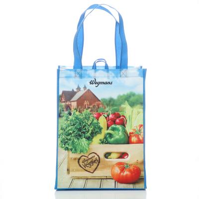 China Promotional Customized Eco Friendly Reusable Printing Non Woven Bag PP Non Woven Shopping Bag for sale