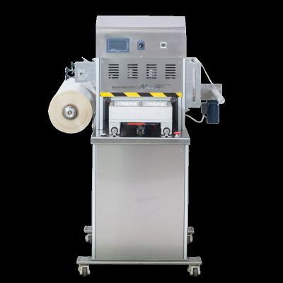 China VSP-450 High Quality Food Food Peel Vacuum Packing Machine for sale