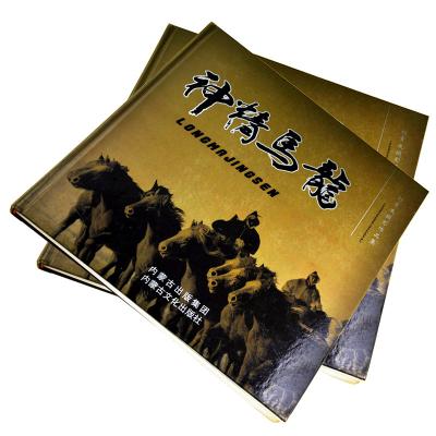 China Glanzende de Vlek van C2S Fijne Art Paper Hardcover Book Printing UV het Eindigen Foto Te koop