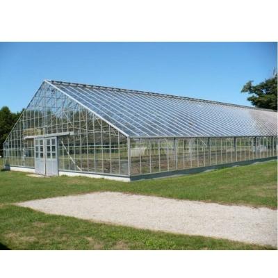 China Hydroponic Growing Systems China Customized Sturdy PVC Steel Wall Roof Hydroponic Fruit Vegetable Light Agricultural Greenhouse for sale