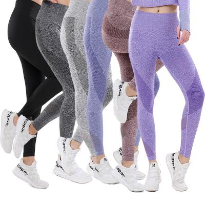 China Yoga Exercise Fitness Gaiters Breathable Quick-Drying Stretch Hip Gaiters Ladies Gym Seamless Yoga Sweatpants for sale