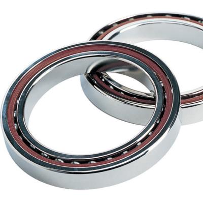 China Chrome Steel/GCr15/AISI52100/100Cr6 7220 ACM Angular Contact Ball Bearing From China for sale